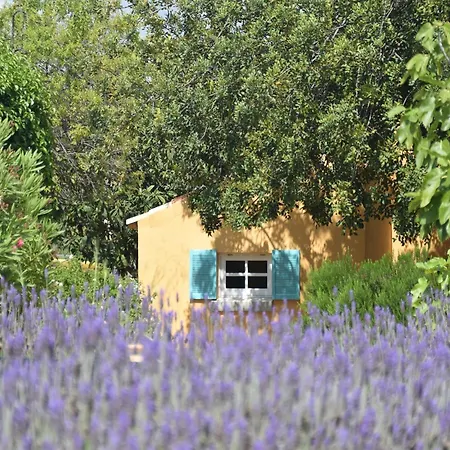 Ferienhaus Algarve Casa With Pool *