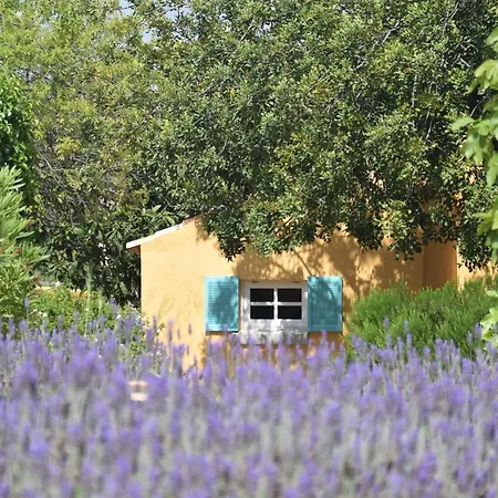 Attractive Portuguese Farm With Modern Decoration Сasa de vacaciones Loulé