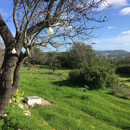 Attractive Portuguese Farm With Modern Decoration