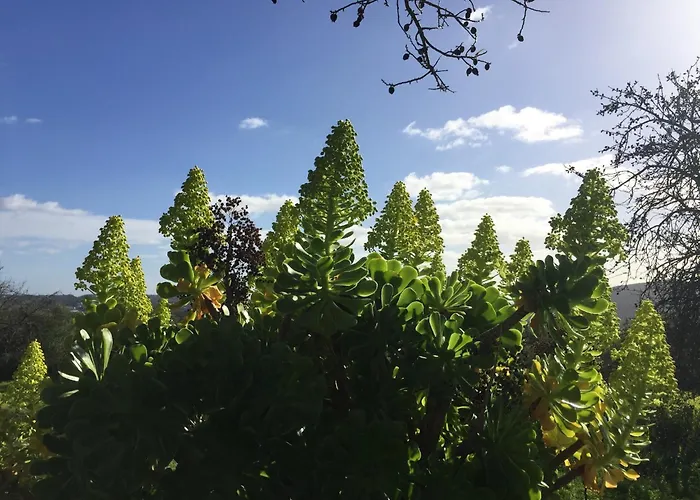Algarve Casa With Pool